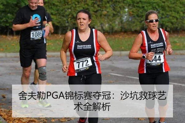 she-fu-lei-jin-biao-sai-duo-guan-sha-keng-jiu-qiu-yi-shu-quan-jie-xi-2-798.jpg