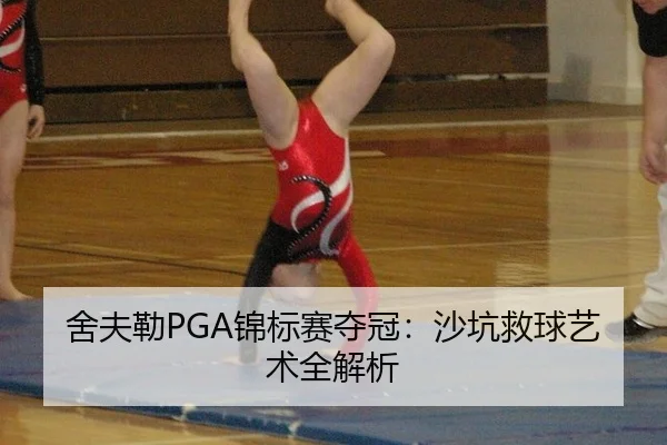 she-fu-lei-jin-biao-sai-duo-guan-sha-keng-jiu-qiu-yi-shu-quan-jie-xi-3-999.jpg