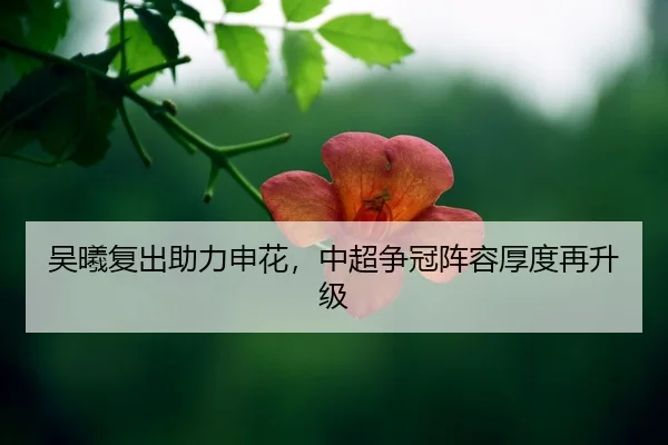 wu-xi-fu-chu-zhu-li-shen-hua-zhong-chao-zheng-guan-zhen-rong-hou-du-zai-sheng-ji-2-310.jpg