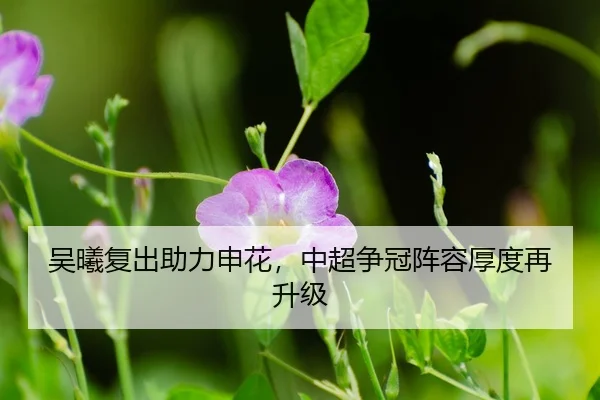 wu-xi-fu-chu-zhu-li-shen-hua-zhong-chao-zheng-guan-zhen-rong-hou-du-zai-sheng-ji-3-303.jpg